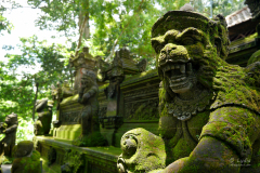 Monkey forest, Bali.  ©Lydiasplanet
