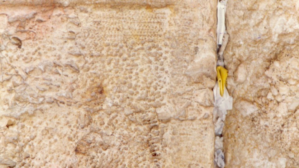 Wishes at the Western Wall